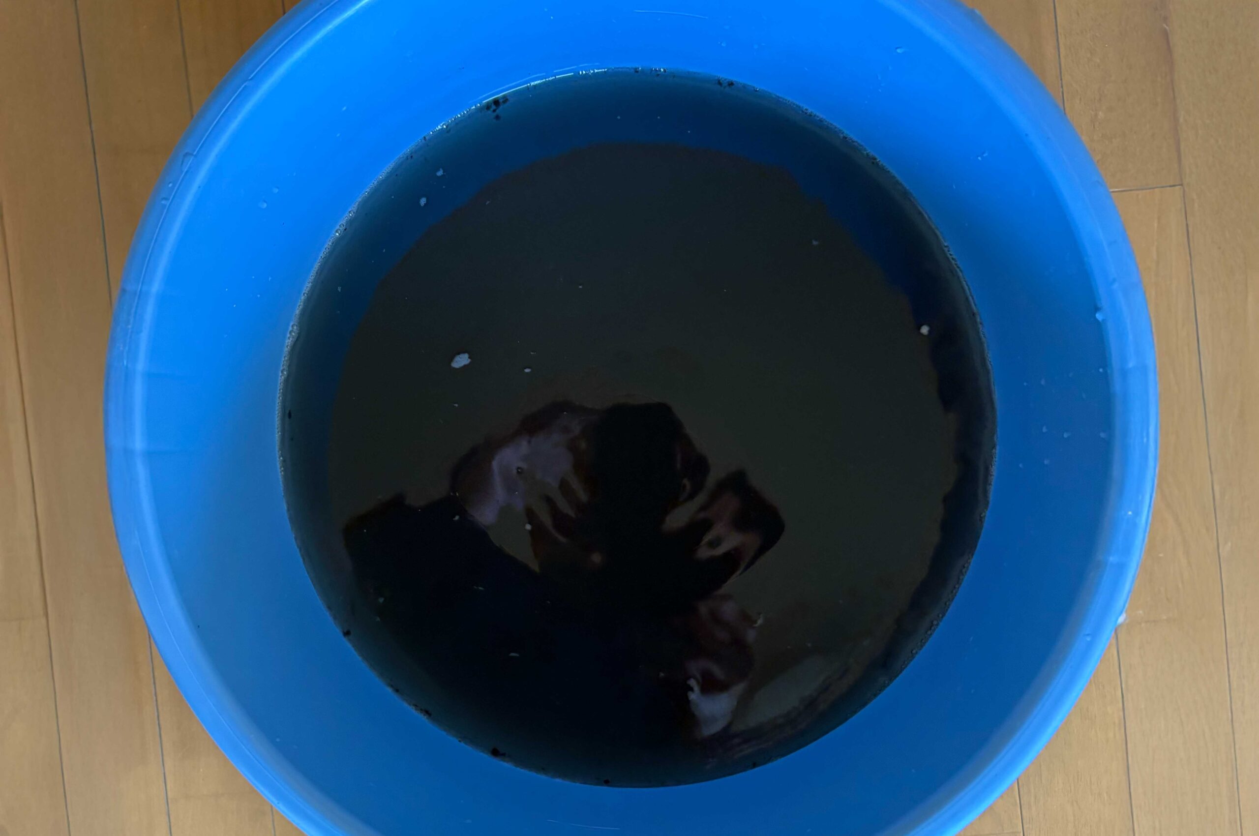 汚水