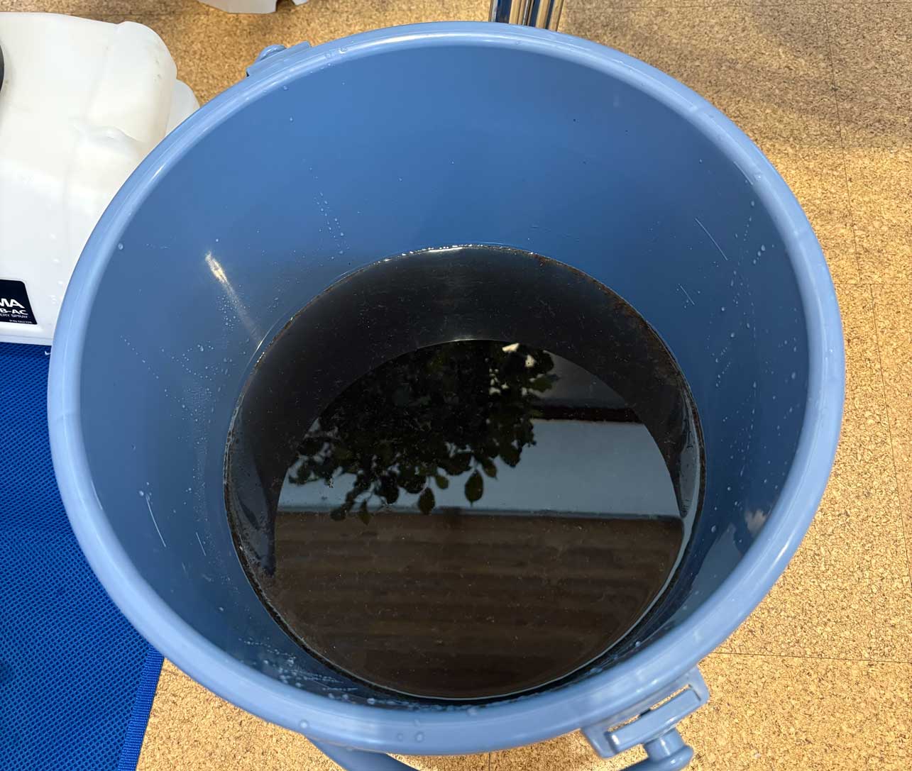 汚水